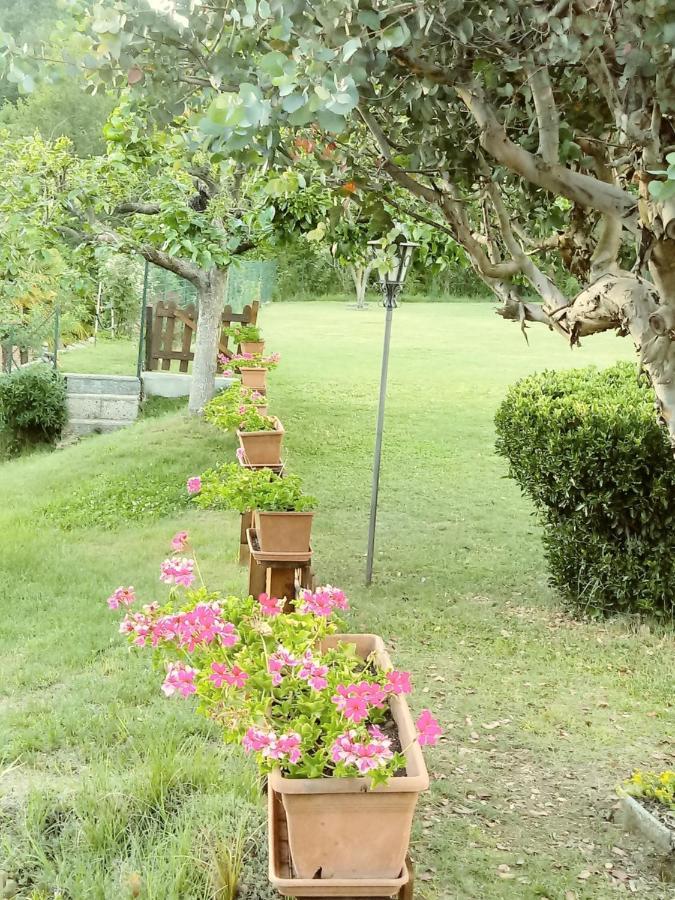 Bed and breakfast La Quiete